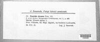 Puccinia circaeae image